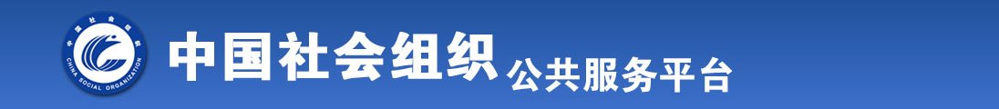 花核抽插全国社会组织信息查询